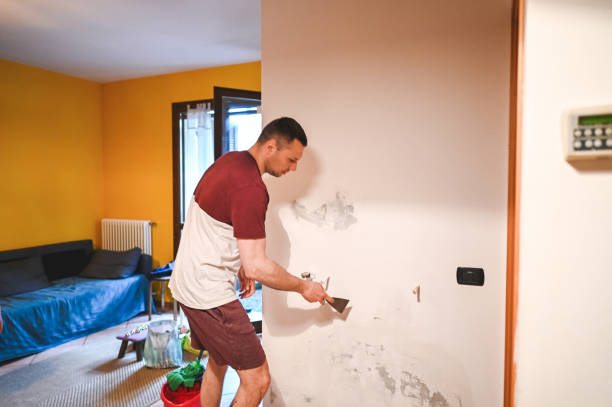 Home Mold Removal in Edina, MN